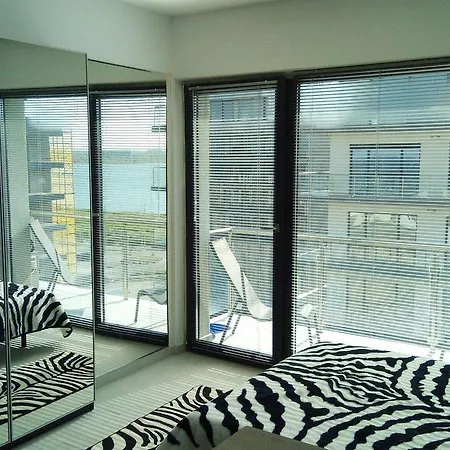 De Silva Studio Zebra *