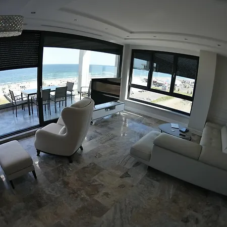 De Silva Studio Zebra *