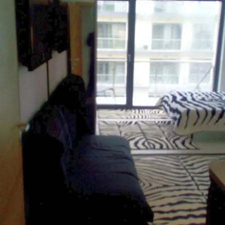 De Silva Studio Zebra *